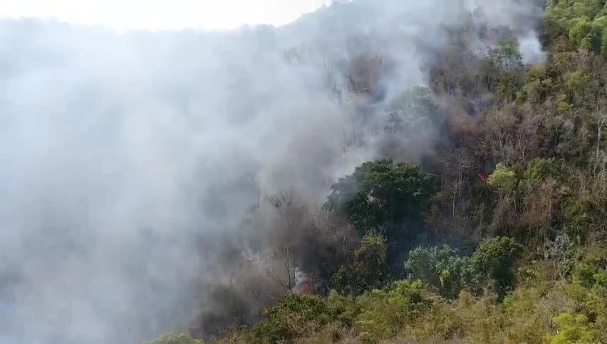 Dập đám cháy trên Núi Dinh, Bà Rịa-Vũng Tàu Núi Dinh