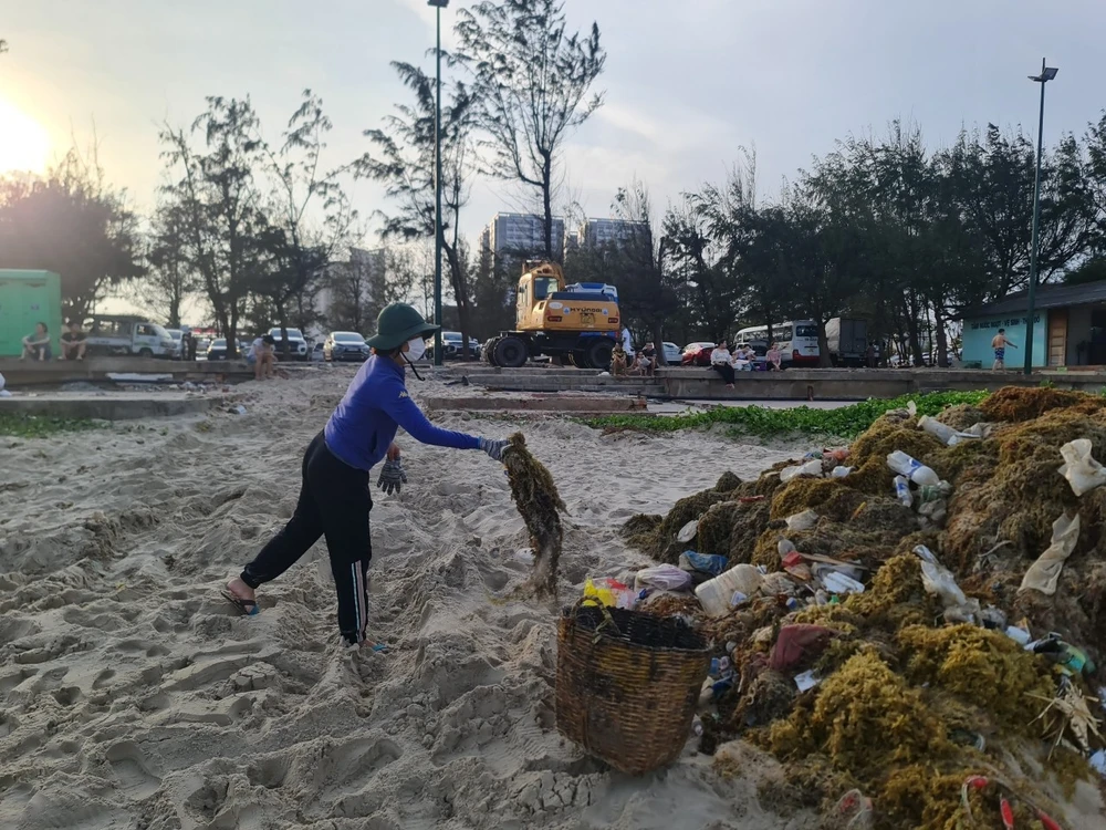 Dọn rác Bãi Sau chiều 30-4. Ảnh: TPVT