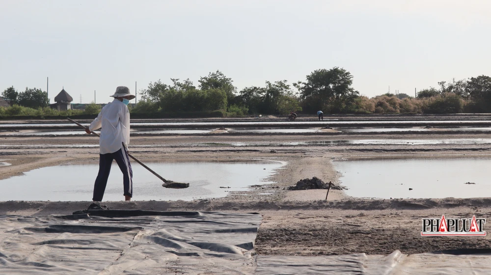 Cánh đồng muối Bà Rịa-Vũng Tàu
