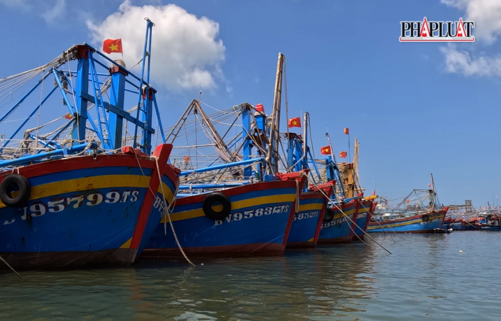 Biên phòng phát hiện một số vụ tàu cá, ngư dân có dấu hiệu trục lợi chính sách. Ảnh minh họa: TK