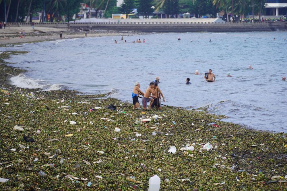 Người đi tắm biển "vật lộn" với rác đại dương sáng 15-6. Ảnh: TĐ