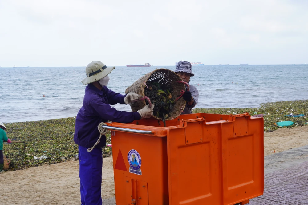 Nhân viên công ty Cổ phần Dịch vụ Môi trường và Công trình đô thị Vũng Tàu dọn dẹp rác đại dương dạt vào khu vực Bãi Trước hồi tháng 6-2023. Ảnh:TK