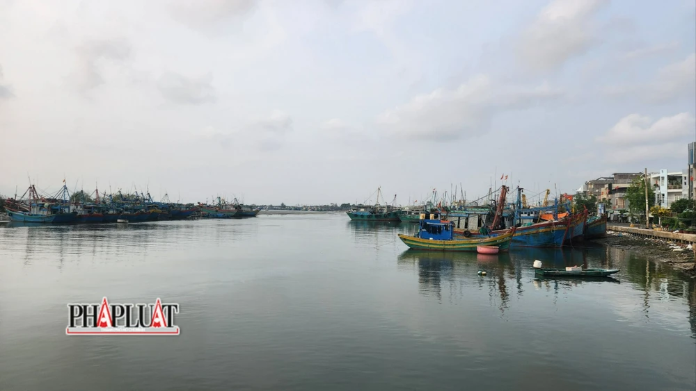 Cang ca Tan Phuoc xa Phuoc Tinh huyen Long Dien h2.jpg