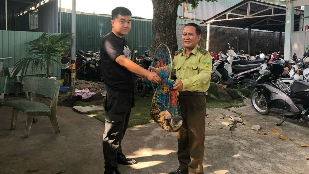 Phát hiện một con rái cá gần khách sạn ở Vũng Tàu