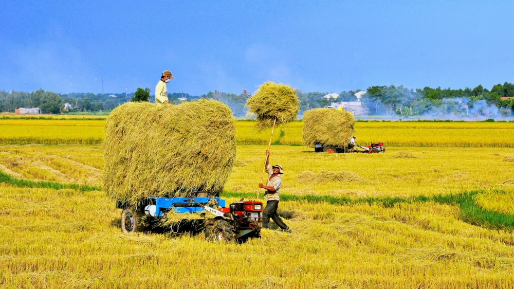Huyện Long Điền: Nơi hội tụ nhiều tiềm năng, lợi thế để phát triển kinh tế biển, du lịch, công nông nghiệp