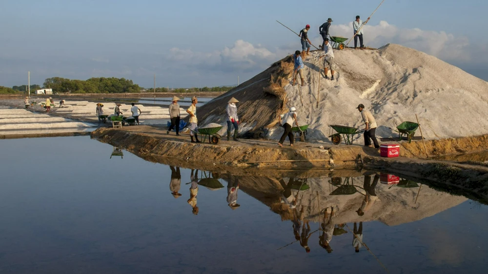 Huyện Long Điền: Nơi hội tụ nhiều tiềm năng, lợi thế để phát triển kinh tế biển, du lịch, công nông nghiệp