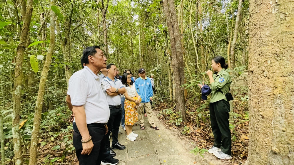 du-lich-sinh-thai-duoi-tan-rung-9372.jpg