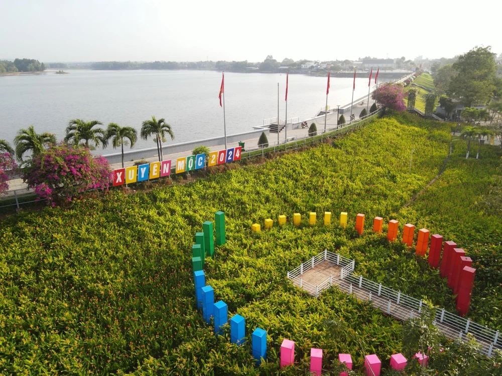 Duong-hoa-Tet-Giap-Thin-2024