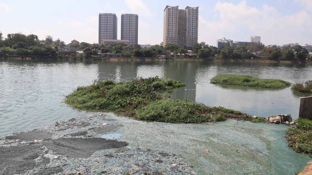 Trời nắng nóng, tảo chết ở hồ Bàu Sen Vũng Tàu nổi đầy, bốc mùi hôi