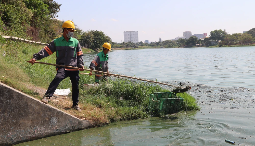Trời nắng nóng, tảo chết ở hồ Bàu Sen Vũng Tàu nổi đầy, bốc mùi hôi