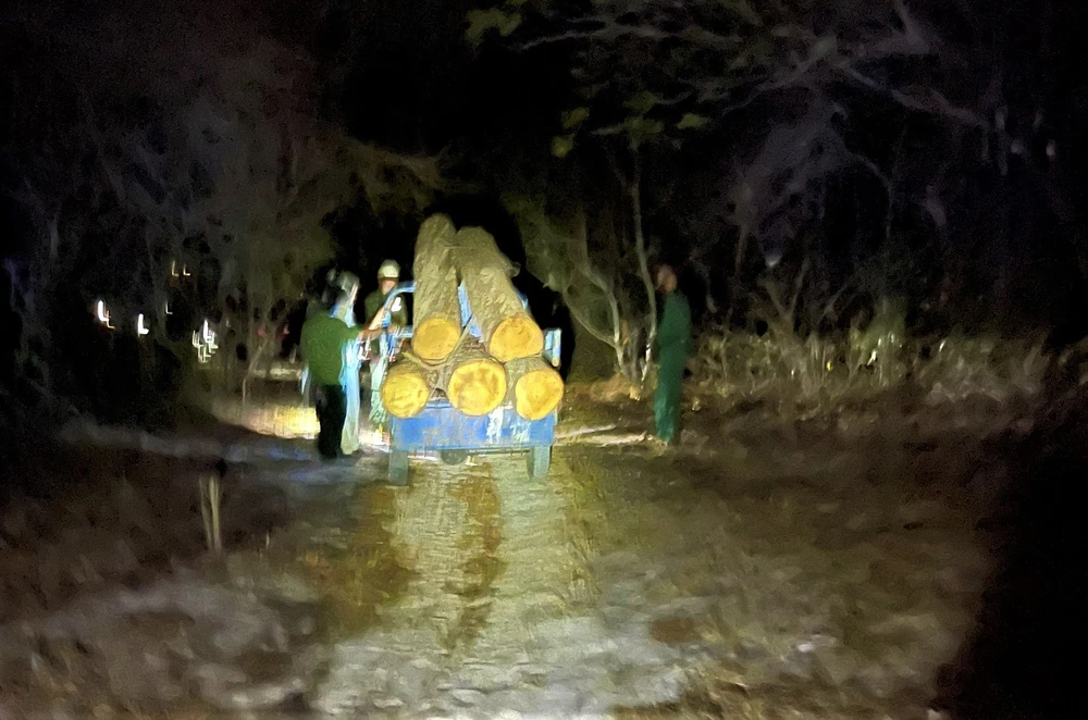 Bà Rịa- Vũng Tàu: Phát hiện vụ vận chuyển gỗ, phá rừng tại rừng bảo tồn Bình Châu- Phước Bửu