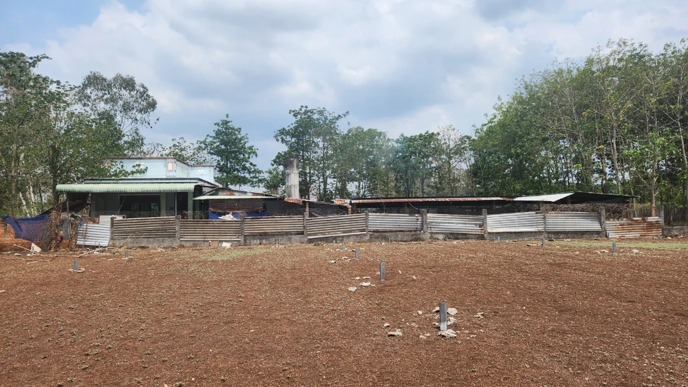 Bà Rịa- Vũng Tàu: Một cá nhân tự lập trạm cứu hộ bị dân mạng tố đã “xóa dấu” hàng ngàn con chó, mèo