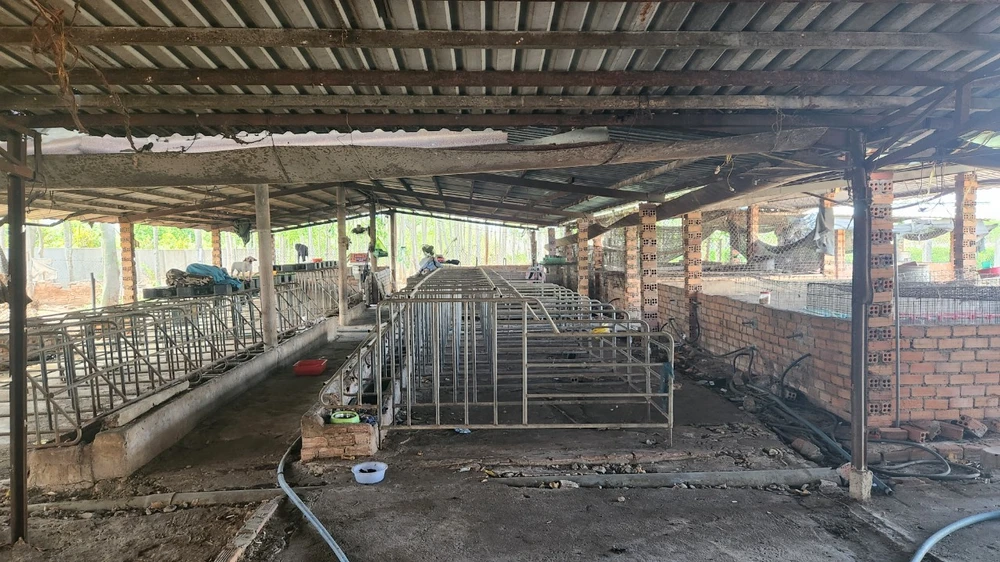 Cận cảnh trạm cứu hộ chó mèo được đánh giá lớn, có tâm lâu nay nhưng ai đến cũng phát hoảng