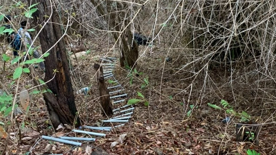 Một cô gái bị sát hại rồi giấu xác trong vali bỏ trên núi tại Vũng Tàu