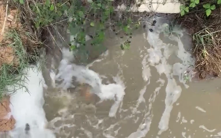 Bà Rịa- Vũng Tàu phạt một công ty 513 triệu đồng vì xả nước thải vượt quy chuẩn vào mương nước