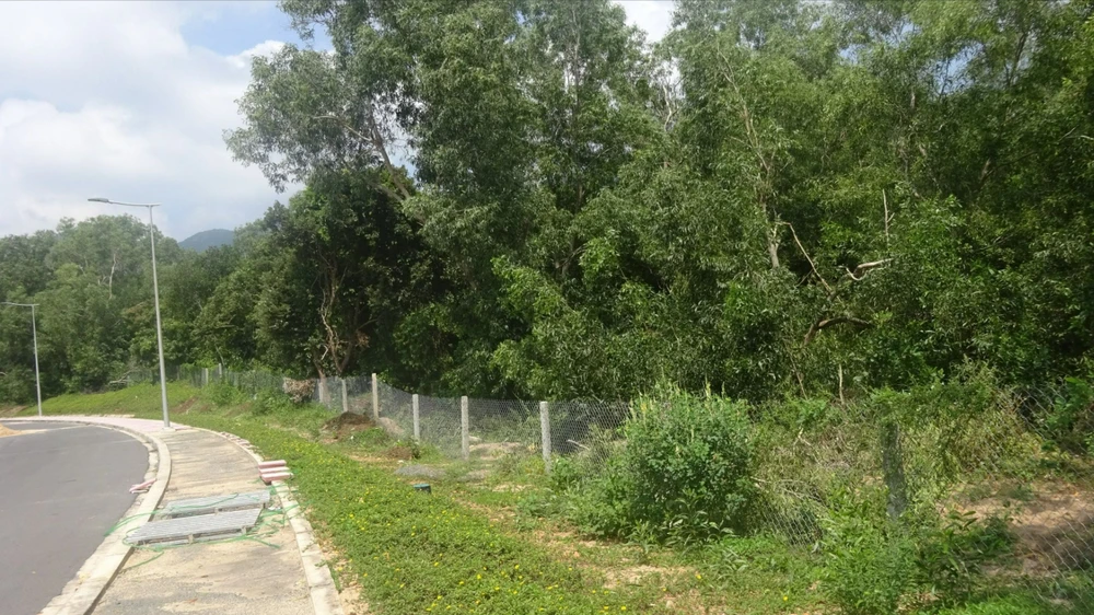 Côn Đảo bác khiếu nại của mẹ vợ nguyên Chánh án TAND huyện đòi bồi thường hơn 1,4ha đất rừng