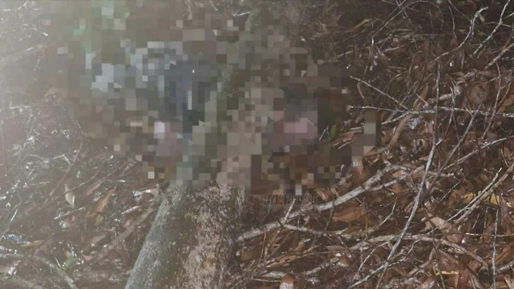 Điều tra vụ một người đàn ông tử vong trong rừng bảo tồn nghi bị cây tràm đè lên trong lúc cưa cây