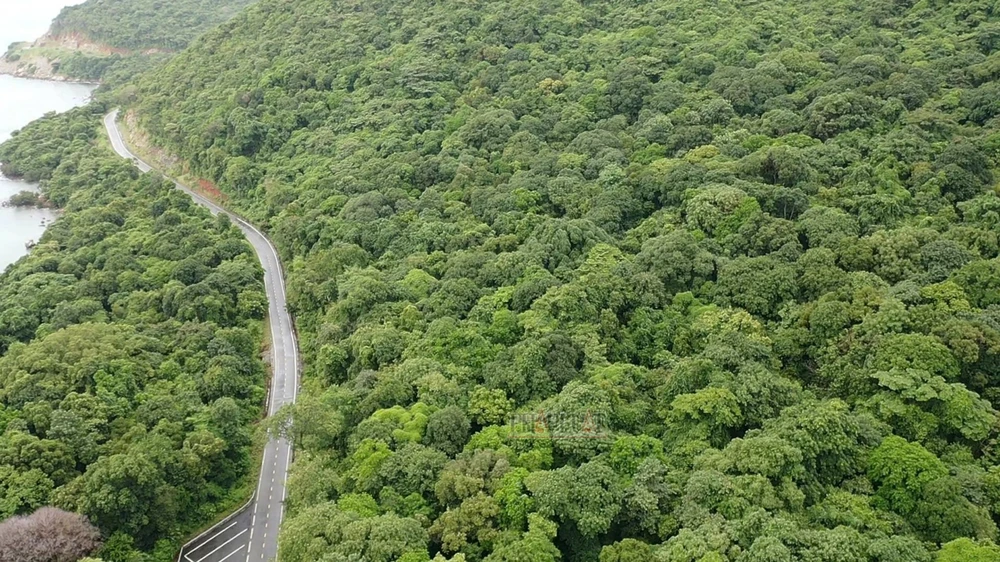 Chuyển mục đích sử dụng 1,92 ha rừng đặc dụng để xây dựng nhà máy xử lý rác Côn Đảo