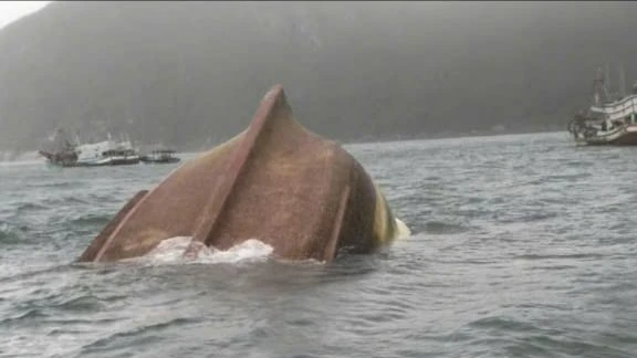 Khởi tố vụ án tàu hàng nước ngoài đâm va tàu cá Việt Nam khiến 2 thuyền viên mất tích, tử vong
