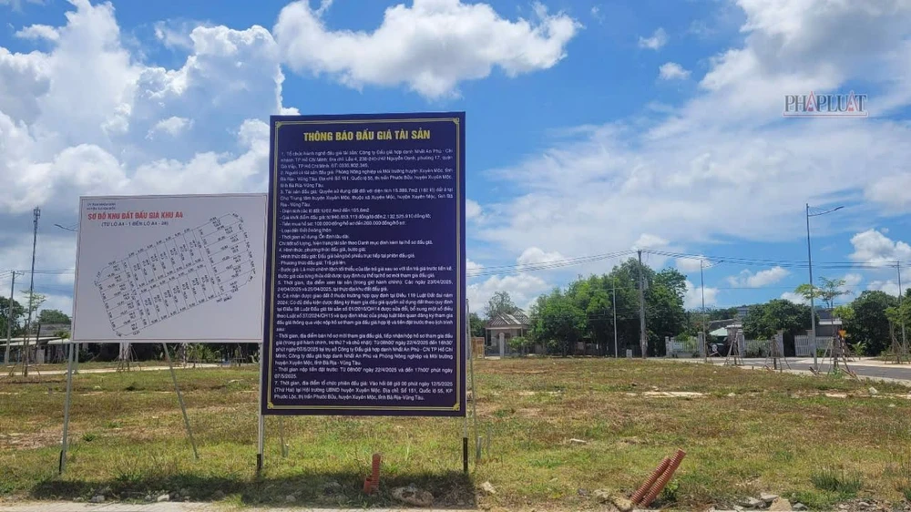 Đấu giá thành công 87 lô đất công ở tại huyện Xuyên Mộc với tổng giá trị