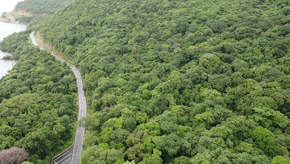 Tiềm năng bán tín chỉ Carbon từ rừng, biển Côn Đảo lớn đến đâu ?