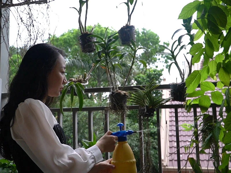 Dư âm phiên xử tài xế Mercedes tông tiếp viên hàng không ảnh 2