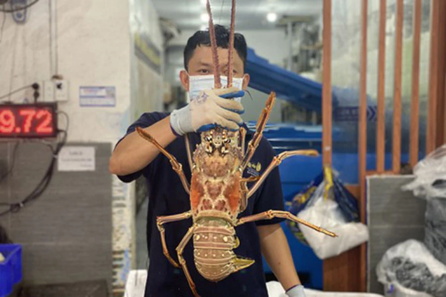 Món ngon, vật lạ khắp nơi đổ về TP.HCM đón tết ảnh 3