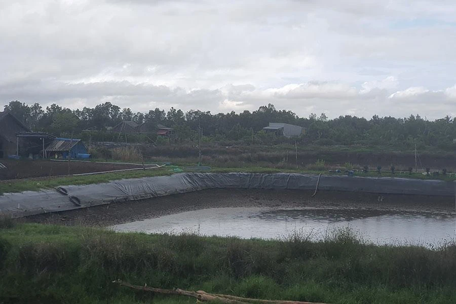 Nhà ông Tấn (nhà thiếc trắng) và nhà ông Được (nhà lá) muốn đi lại đều phải đi nhờ qua đất người khác.