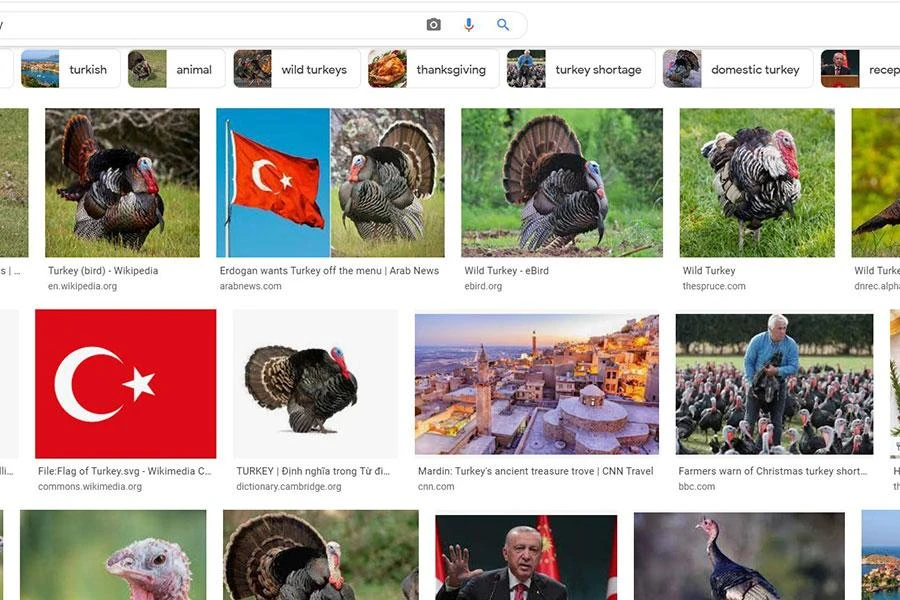 Tra từ “Turkey” trong trang tìm kiếm Google phần lớn cho ra hình ảnh con gà tây. Ảnh: Màn hình Google