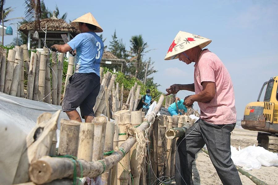 Các hộ kinh doanh đang gia cố kè bằng tre và bao cát. Ảnh: NGÔ QUANG