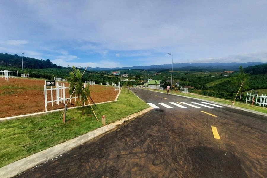 Thửa đất số 87 có diện tích gần 10.000 m² ở xã B’Lá, huyện Bảo Lâm, Lâm Đồng. Ảnh: MINH CHUNG