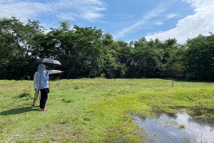 Việc gia hạn đất nông nghiệp của hộ gia đình, cá nhân theo dự thảo Luật Đất đai sửa đổi sẽ khắt khe hơn quy định hiện hành. Ảnh: VH