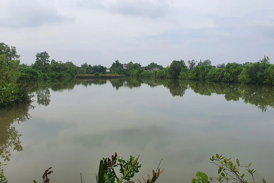 Một góc vuông tôm trong vụ tranh chấp. Ảnh: TRẦN VŨ