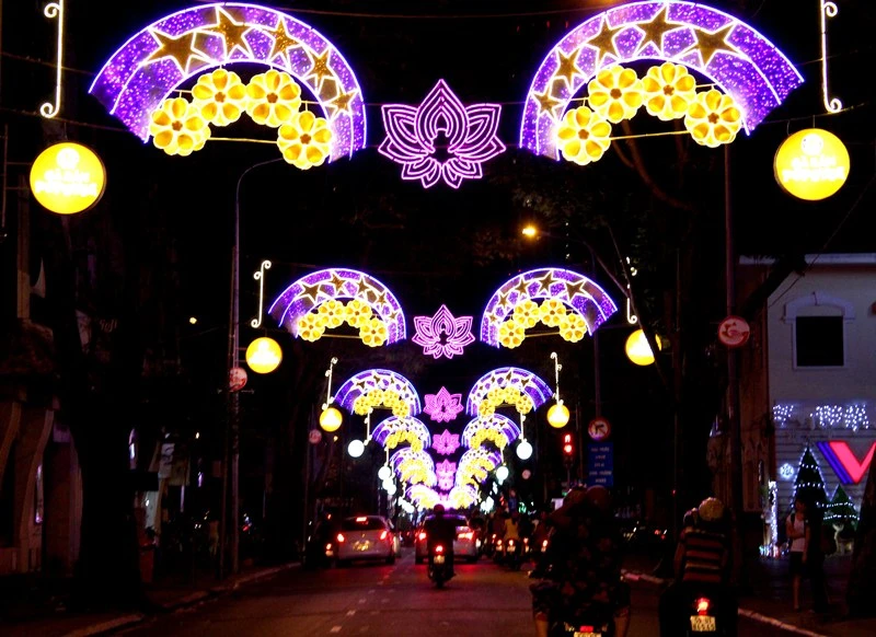 Phố Sài Gòn rực rỡ đèn hoa đón mùa xuân mới ảnh 6 Phố Sài Gòn rực rỡ đèn hoa đón mùa xuân mới ảnh 6