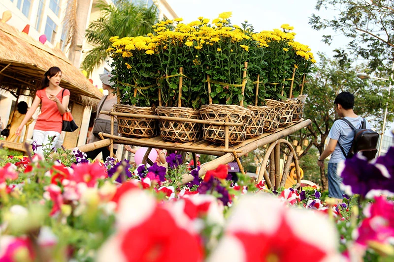 Ngắm cảnh làng quê Việt Nam ở khu nhà giàu ảnh 18 Ngắm cảnh làng quê Việt Nam ở khu nhà giàu ảnh 18