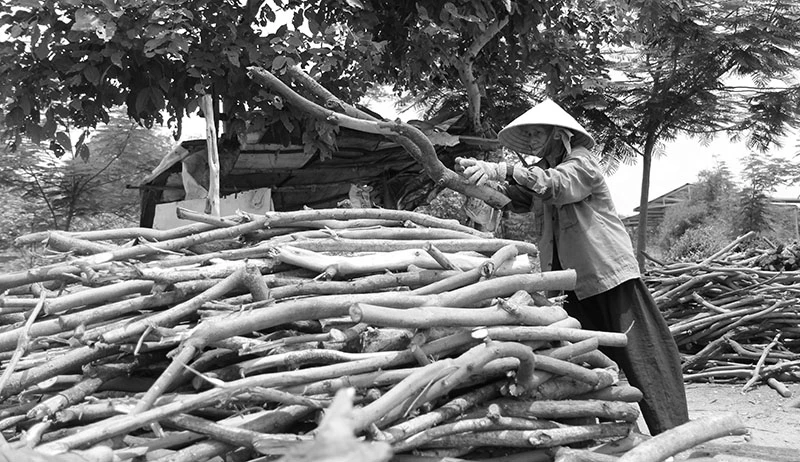 Những người phụ nữ vất vả mưu sinh trong ngày 8-3 ảnh 4