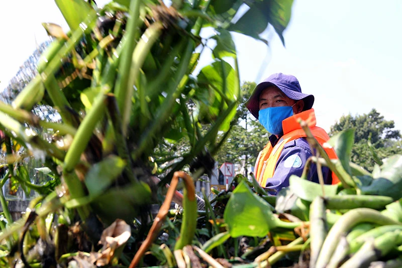 Người Sài Gòn gồng mình vượt qua cái nắng cuối mùa ảnh 6