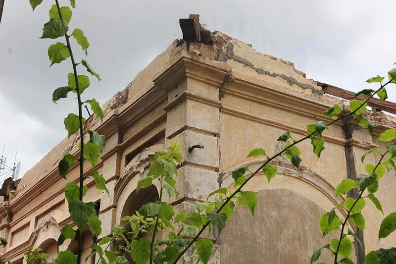 hoa văn biệt thự