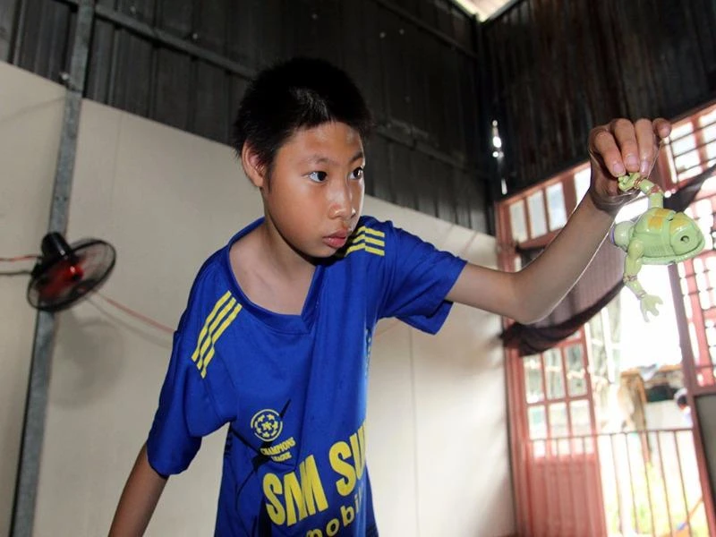 Đăng Hữu Toàn (12 tuổi) 