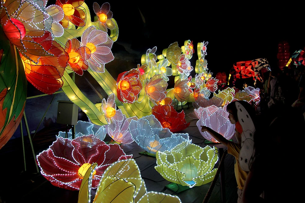 TP.HCM: Gần 20 con vật khổng lồ xuất hiện trong đêm Trung thu ảnh 6