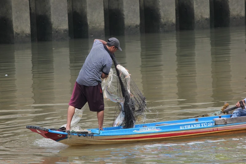 Ngang nhiên chài lưới bắt cá trên kênh Nhiêu Lộc ảnh 3