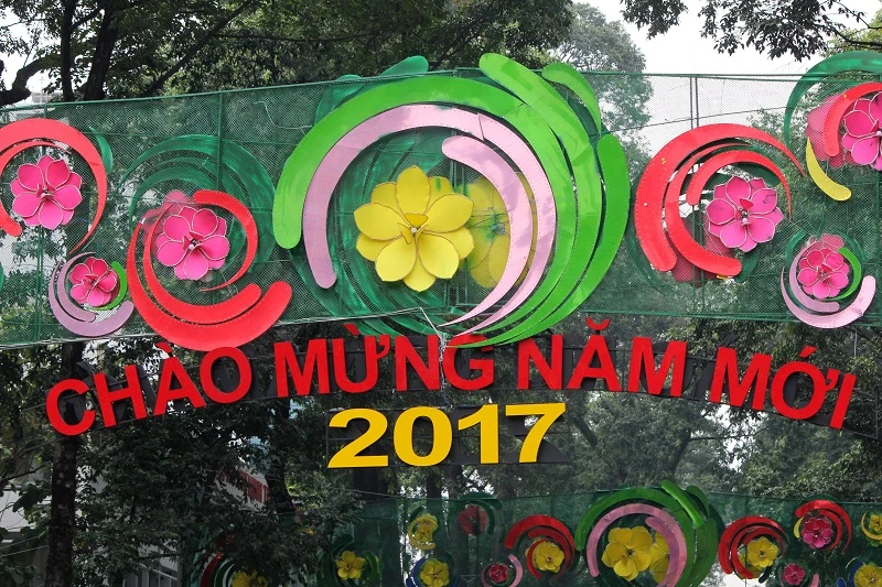 Rối mắt đoạn đường trang trí tết 2017 ở TP.HCM ảnh 3