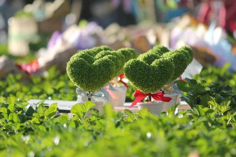 “Con đường tình yêu” rực rỡ quà và hoa Valentine ảnh 12