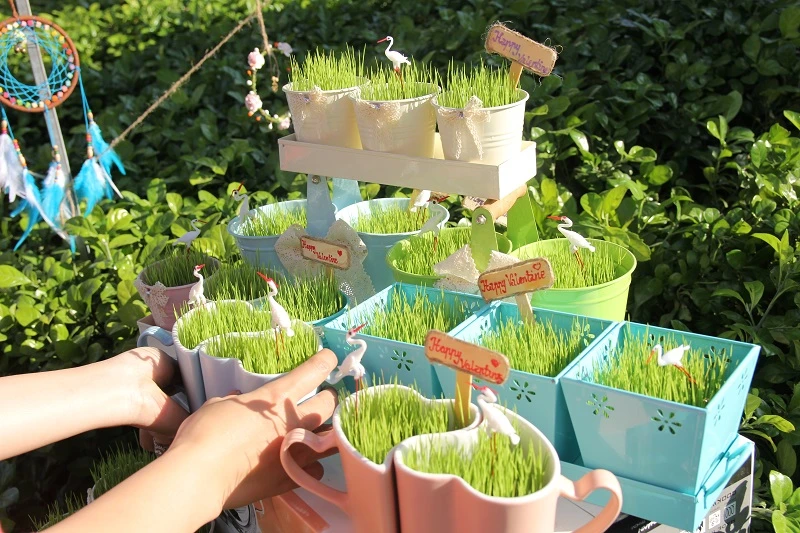 “Con đường tình yêu” rực rỡ quà và hoa Valentine ảnh 10