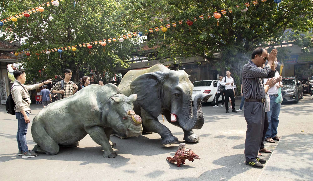Tê giác, voi quỳ 'kêu cứu' trước tượng Phật ở Sài Gòn ảnh 6