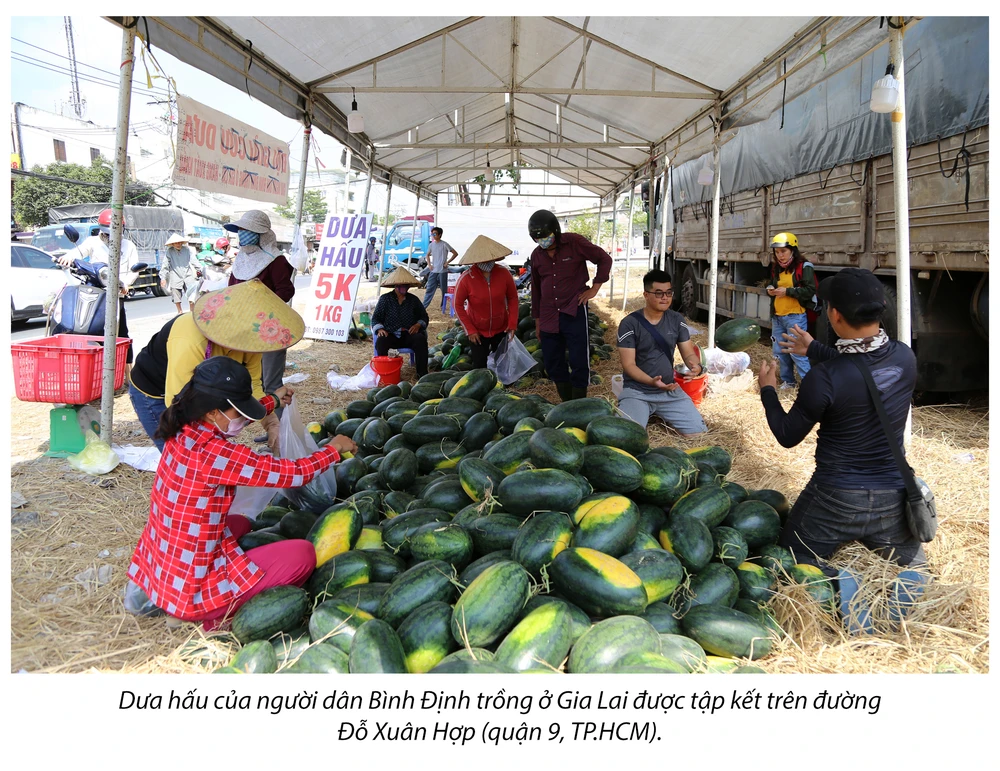 Tình người Sài Gòn thời dịch COVID-19 ảnh 11