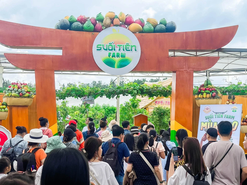 Đến đây, du khách được trải nghiệm cùng nhân viên làm vườn tận tay thu hoạch và thưởng thức các loại trái cây tươi ngon như Sung Mỹ, Đu đủ Mexico, Dưa hấu Ngọc Bích, Nho Hồng Nhật Bản, Ổi Ruby Đài Loan, Táo Xanh Thái Lan…