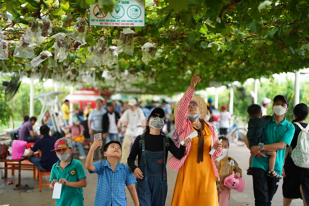 Hàng loạt tiểu cảnh chụp hình vô cùng dễ thương dành cho những ai thích trải nghiệm và khám phá cảnh thôn quê mộc mạc, hiếm hoi ở Sài Thành.
