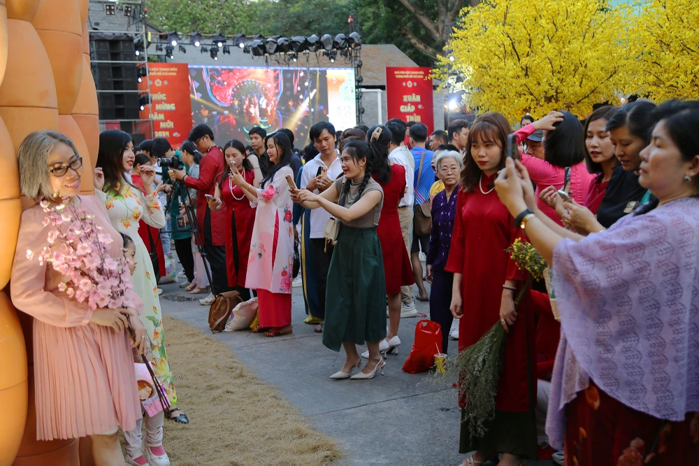 chen chân chụp ảnh mai vàng ở tphcm (2).JPG