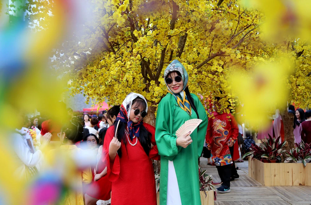 chen chân chụp ảnh mai vàng ở tphcm (5).JPG